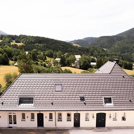 Croc White * ווילארד-דה-לאנס